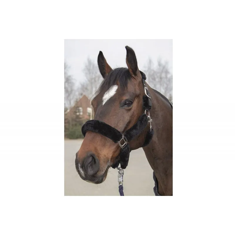 Licol Top Moumoute super confort pour cheval