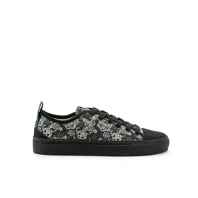 Moby kittens black